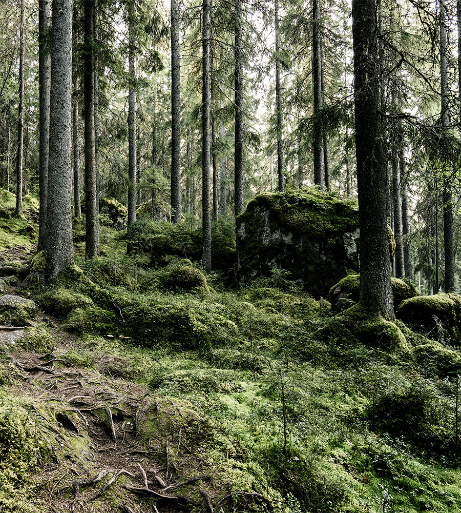 Sachwaltung auf Augenhöhe Sachwaltung auf Augenhöhe
